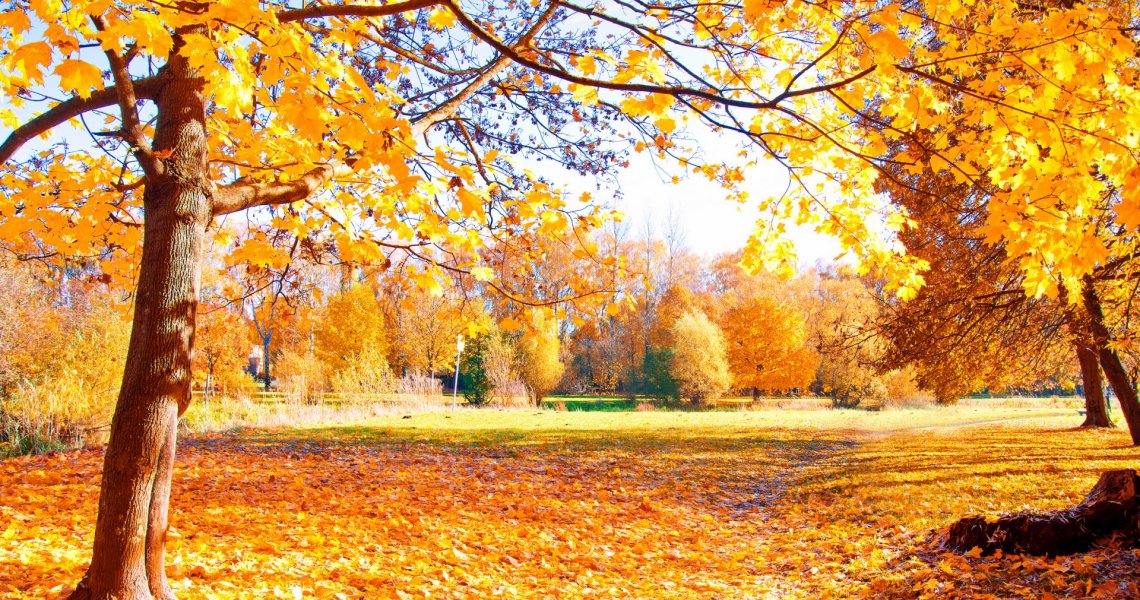 6 Ideen für Herbsttage am Gardasee 6 Ideen für Herbsttage am Gardasee